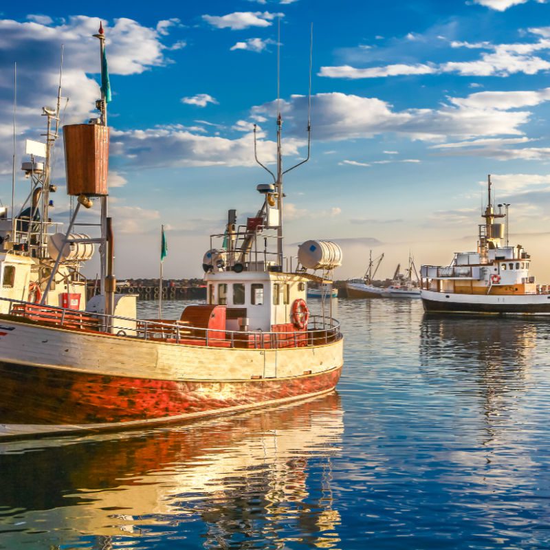 reykjavik old harbor